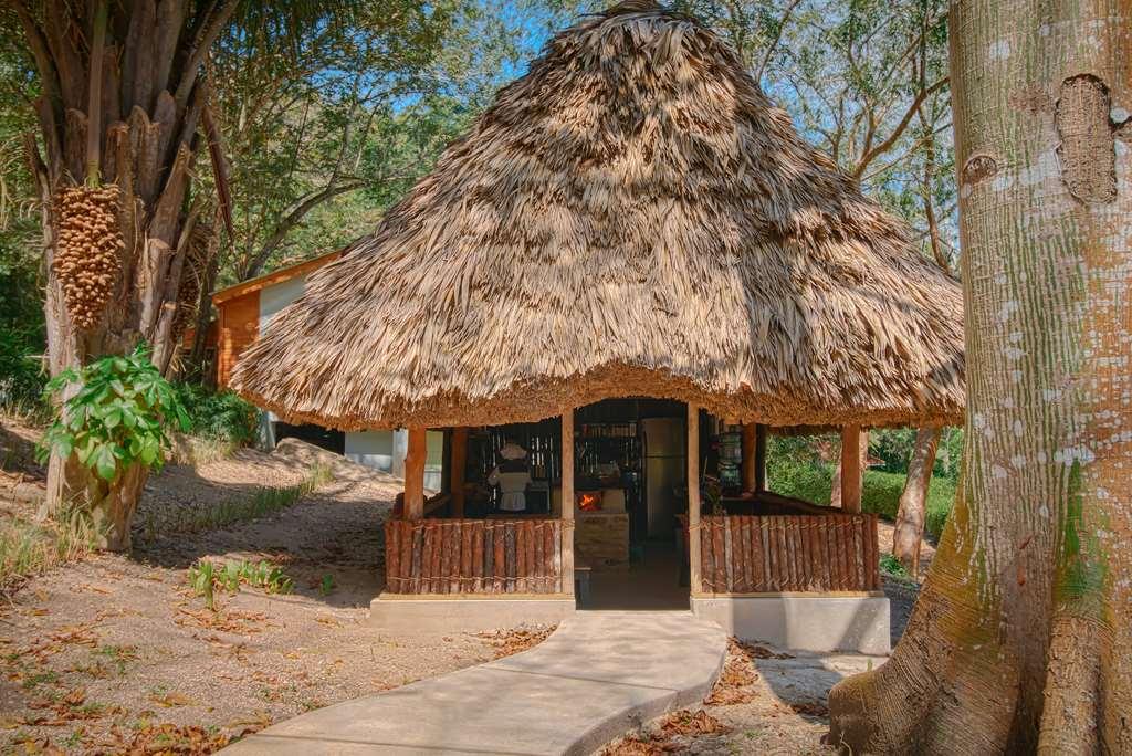 The Lodge At Chaacreek San Ignacio Chambre photo